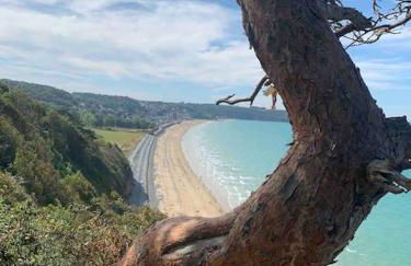 Ravissant studio en bord de mer - Photo 13