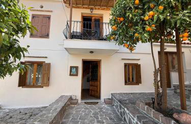 Traditional House - Foto 22