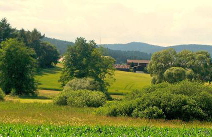 Ferienhaus im Fichtelgebirge - Foto 30