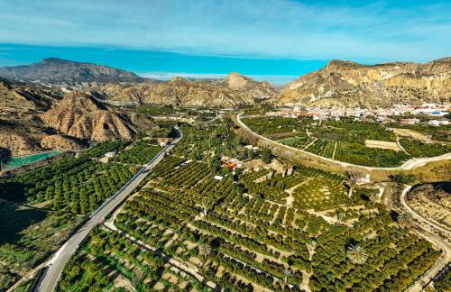 La Joya del Valle de Ricote - Foto 40