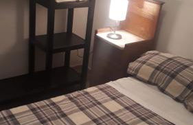 Carrubo - Giardino in città - Foto 20