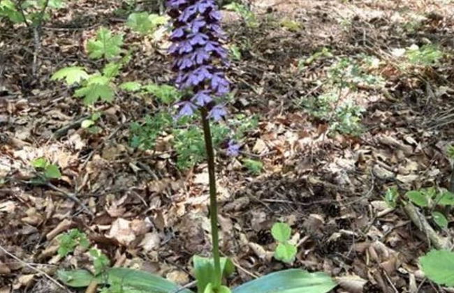 Holiday Home Tachbachtal - Photo 12