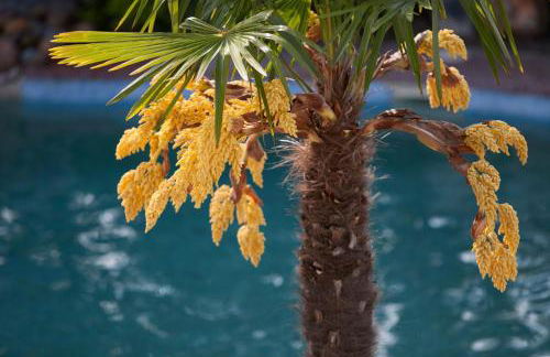 Aristides Hotel - Photo 59