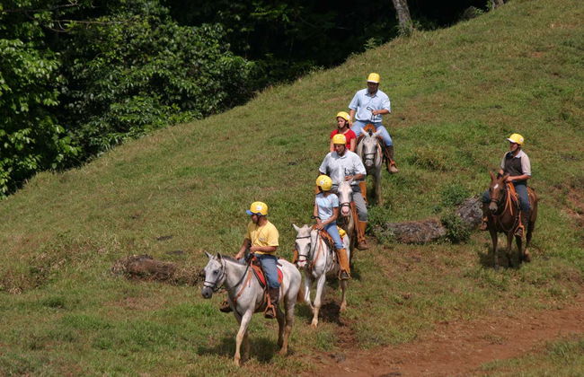 Tour de aventura em Sarapiquí - Foto 4
