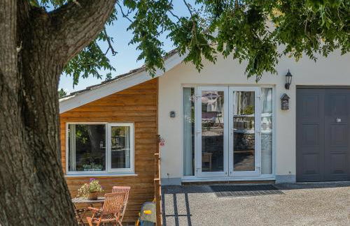 The Lantern Tree - Foto 24