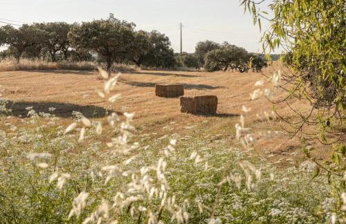 Casa da Ritinha - Praia Azenhas D El Rey - Foto 5