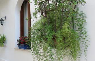 Il Trullo del Cadetto - Foto 53