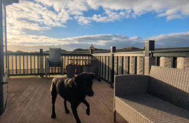 Peacehaven, Ynyslas, Borth - Photo 47