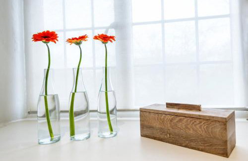 The Chestnuts - Foto 39