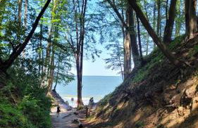 apartament przy plaży w Redłowie - Photo 16