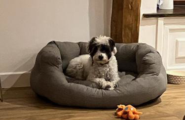 Hay On Wye Welsh Townhouse in Hay centre - Foto 49