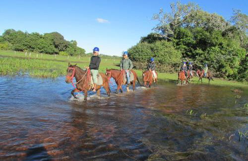 Pousada São João - Estrada Parque Pantanal - Photo 33