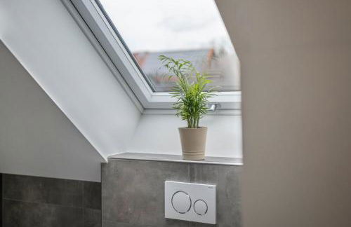 Blick zum Säntis - Foto 21