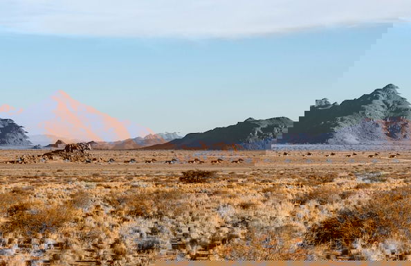 Desert Quiver Camp - Foto 25