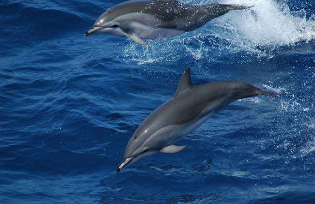 17 Manzini Holiday Resort - Foto 30