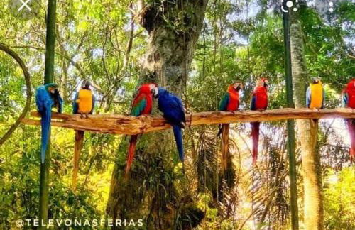 Apartamentos Nadai 301 - Foto 41