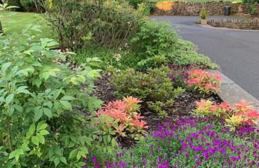 Sunset View one bedroom luxury cottage in an idyllic setting - Foto 30