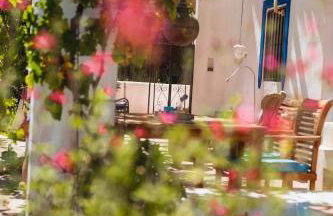 Algarrobo Azul - Foto 28