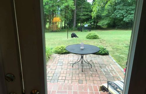 Meadow View Acres - 6 acre spacious estate 20 min from UVA - Foto 56