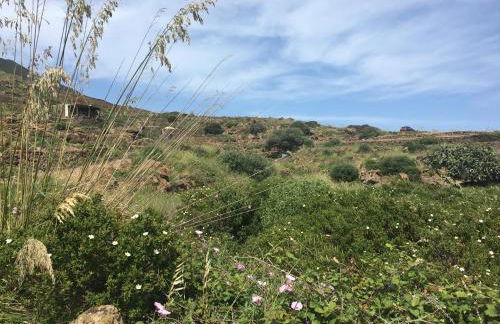 Dammusi IL SERRALH -Pantelleria- - Foto 7