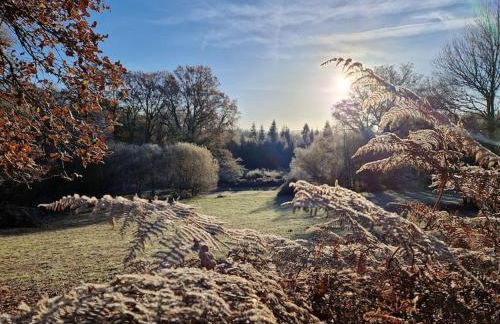 Maison dans un havre de paix - Foto 6