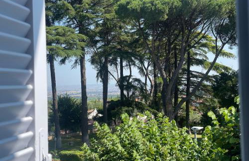 Casa Parco degli Ulivi - Foto 15