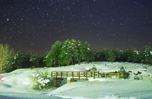 EL Rincón de Lola - Foto 24