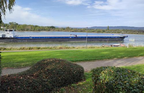 Rheinuferhaus - Foto 36