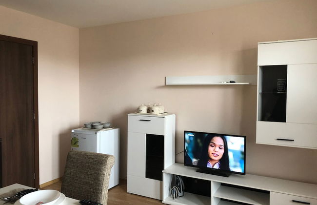 Palace De Luxe - Apartments - Foto 14