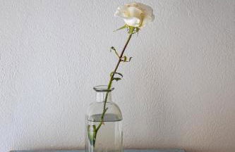 Maison de la Porte des Loups dans le Ventoux - Foto 13