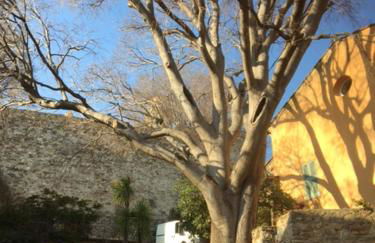 Logement neuf centre du village aux pieds du château - Foto 18