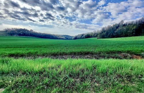 Villetta rosso Rubino - Foto 69