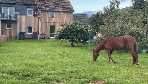 Urlaub auf dem Land - Foto 2