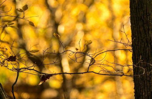 Apartment Perle-Lollipop by Interhome - Foto 37