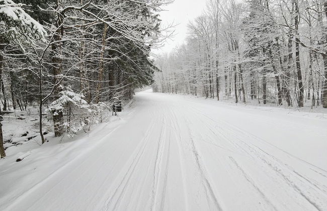 Ski in & out Spruce Glen Townhomes on Great Eastern Trail - Photo 21