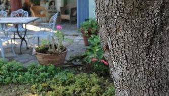 Lo Chalet dell'Artista - Foto 3