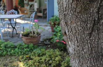 Lo Chalet dell'Artista - Foto 3