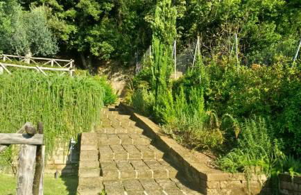 La Cerasa - il Lago fuori - Foto 64