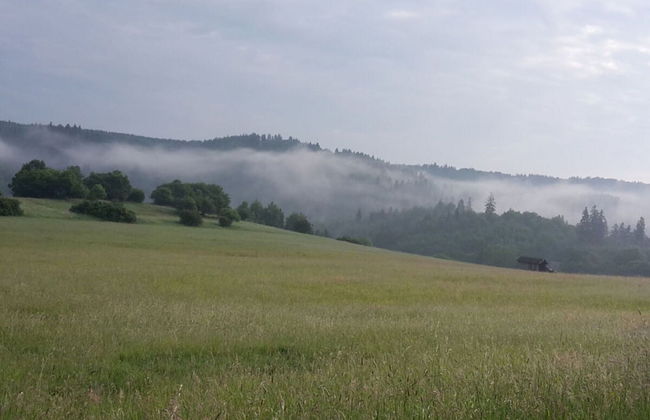 Holiday Apartment Haus Bodefurt - Apartment 2 - Foto 23