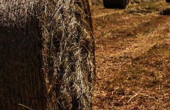 Agriturismo Au Jardin Fleuri - Foto 15