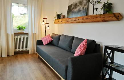 Schwarzwaldraum Schlossblick - Foto 4