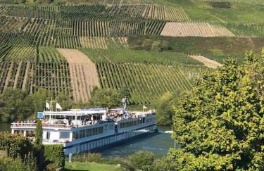 Wohnen direkt am Moselstrand - Foto 42