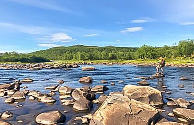 Karetörmä - Foto 34