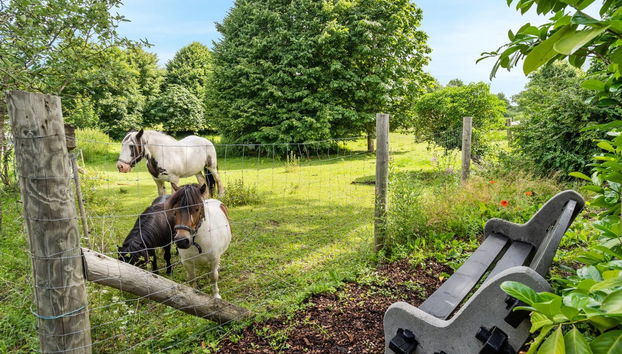 "Maileen" - 2.1km to the fjord - Foto 4, Place