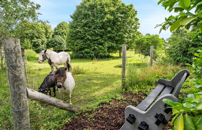 "Maileen" - 2.1km to the fjord - Foto 4