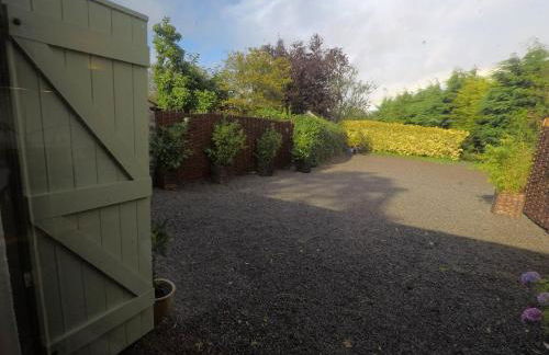 The Little Fish - Foto 11