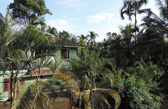 Enjoy The Real "wayanad Village Home Stay" Experience - Foto 21