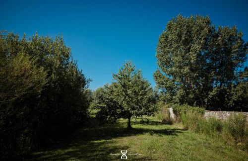 La Grande Pommeraie - Foto 51