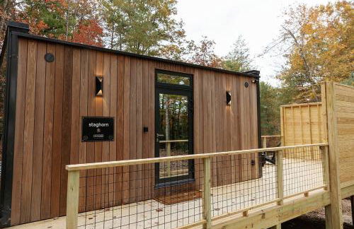 Staghorn | Modern Lux Mirror Home | HotTub & Woods - Foto 1