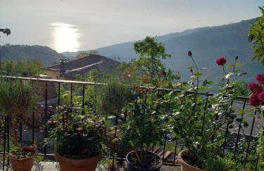 Orizontas Pilio Villa - Photo 45